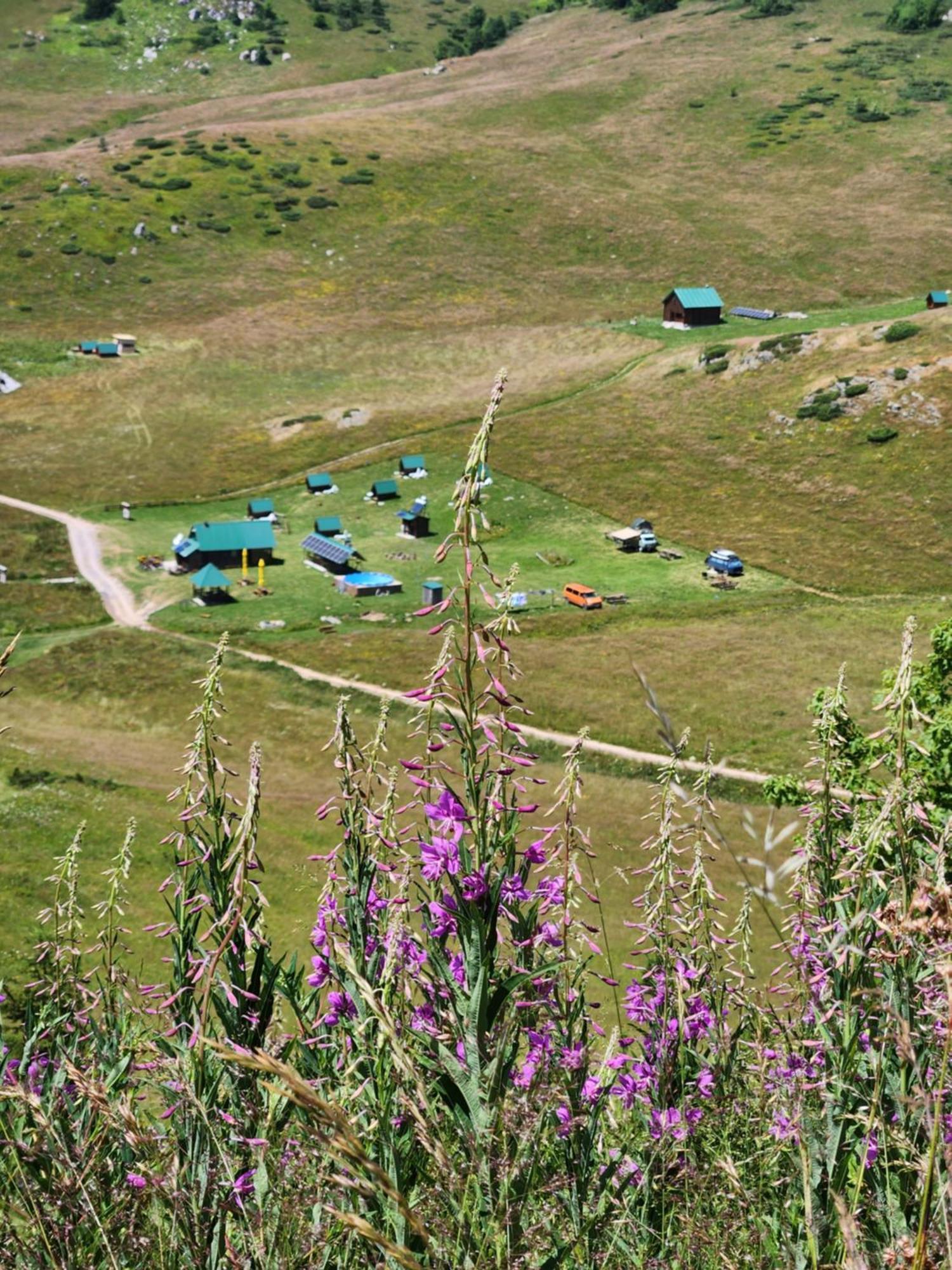 Rural Household Janketic Vendégház Kolašin Kültér fotó